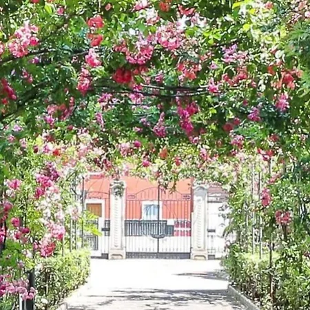 Deluxe Con Giardino E Terrazzo, 3 Camere, Parcheggio Privato Apartment *