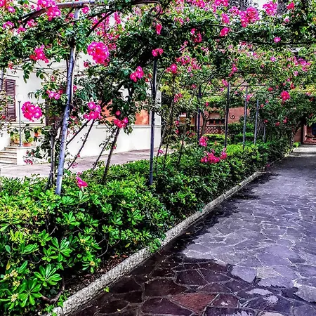 Апартаменты Appartamento Deluxe Vicino Al Mare E Al Centro Con Parcheggio Privato Сенигаллия