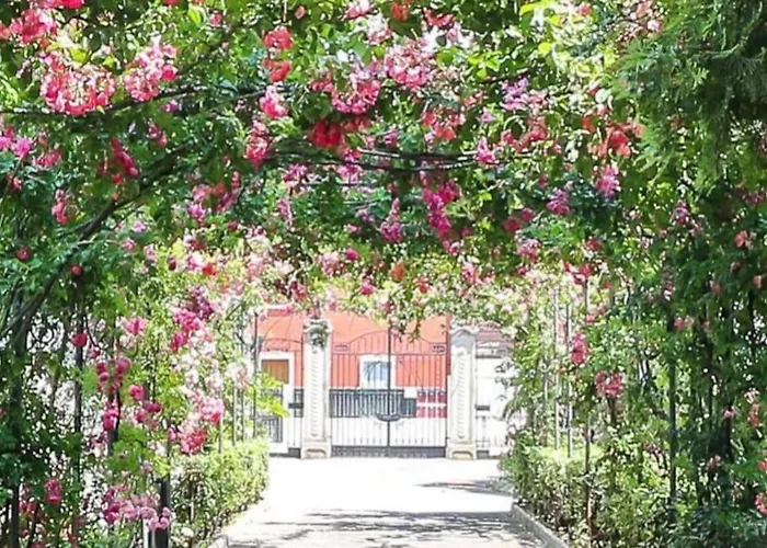 Deluxe Vicino Al Mare E Al Centro Con Parcheggio Privato Lejlighed *